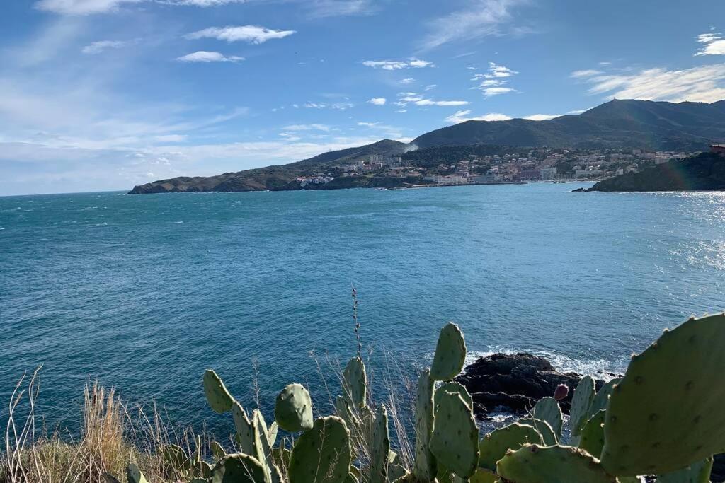 Attique A Banyuls - Vue Mer Et Montagne Luaran gambar