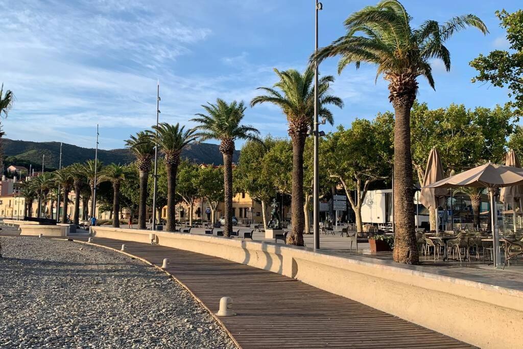 Attique A Banyuls - Vue Mer Et Montagne Luaran gambar